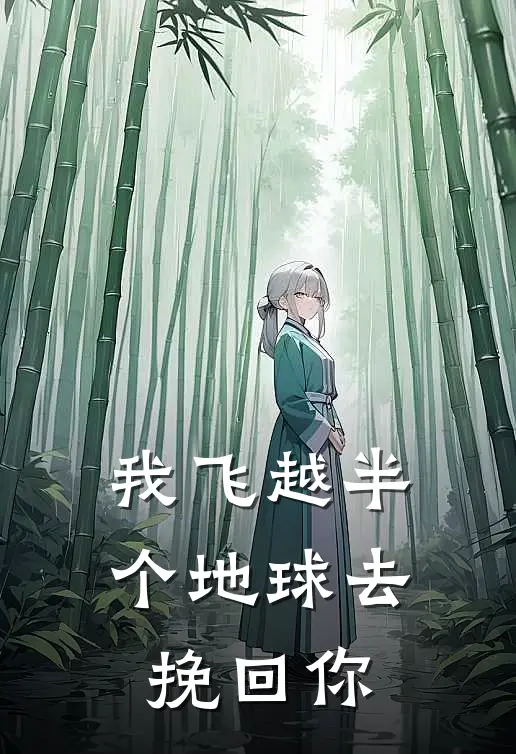 我飞越半个地球去挽回你