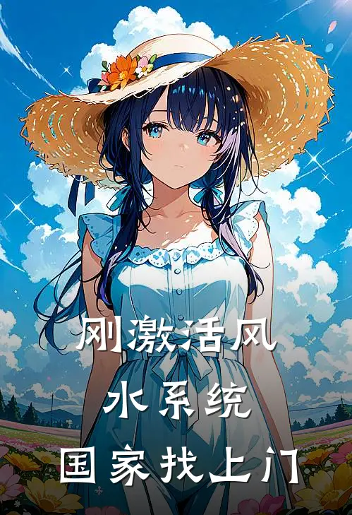 刚激活风水系统，国家找上门