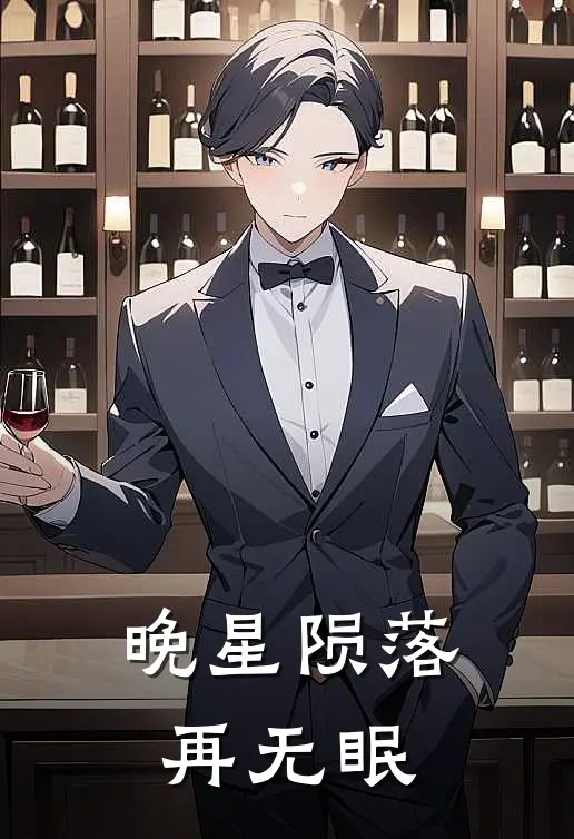 晚星陨落再无眠